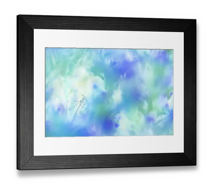 Framed Print : Willow emerald damselfly (Chalcolestes viridis) resting among the herbaceous foliage of a meadow, Mugello, Tuscany, Italy. May Framed Print : Willow emerald damselfly (Chalcolestes viridis) resting among the herbaceous foliage of a meadow, Mugello, Tuscany, Italy. May