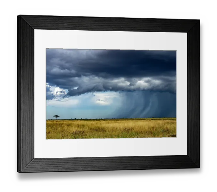 Framed Print : Storm over the plains in dry season, Tsavo East National Park, Kenya. March, 2025 Framed Print : Storm over the plains in dry season, Tsavo East National Park, Kenya. March, 2025