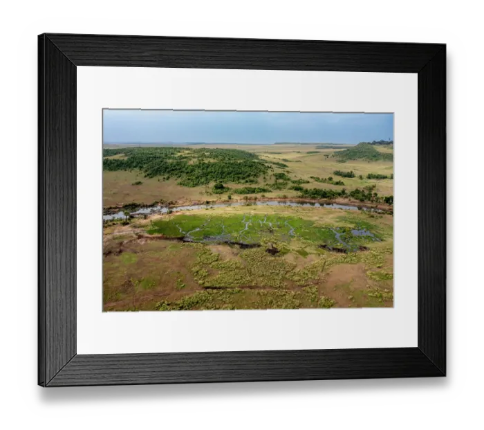 Framed Print : Aerial view of marshland and the Mara river around Mara Serena lodge, Masai-Mara game reserve, Kenya. February, 2023 Framed Print : Aerial view of marshland and the Mara river around Mara Serena lodge, Masai-Mara game reserve, Kenya. February, 2023