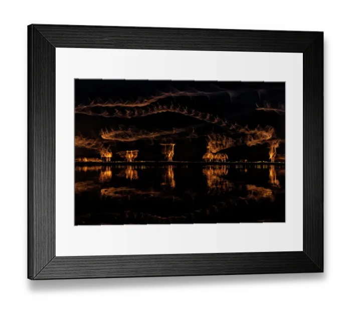 Framed Print : Movement of waterbirds in sunlight captured with a long shutter speed, Kiskunsag National Park, Hungary. May Framed Print : Movement of waterbirds in sunlight captured with a long shutter speed, Kiskunsag National Park, Hungary. May
