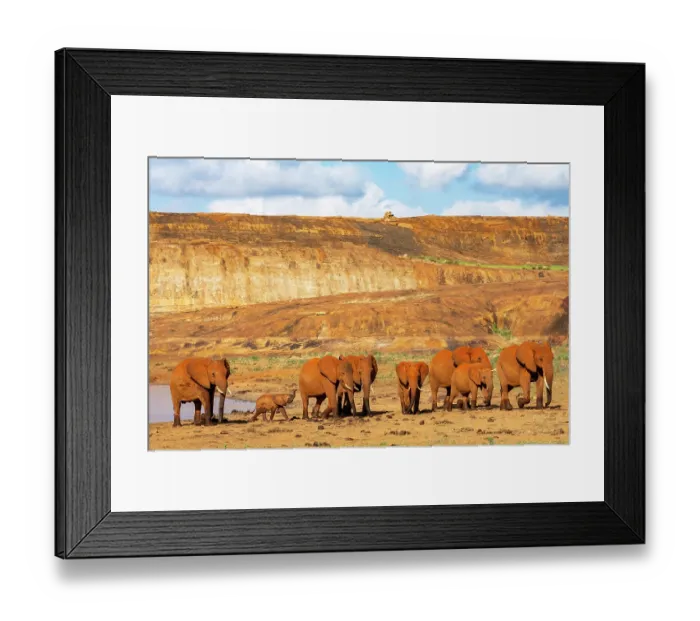 Framed Print : African elephant (Loxodonta africana) herd at waterhole at the bottom of Mudanda Rock, Tsavo East National Park, Kenya. Endangered Framed Print : African elephant (Loxodonta africana) herd at waterhole at the bottom of Mudanda Rock, Tsavo East National Park, Kenya. Endangered