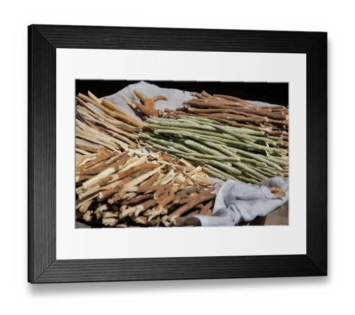 Framed Print : Miswak, also called siwak, is a chewing stick used as an organic tooth cleaning stick made from the Toothbrush tree (Salvadora persica), Gambia