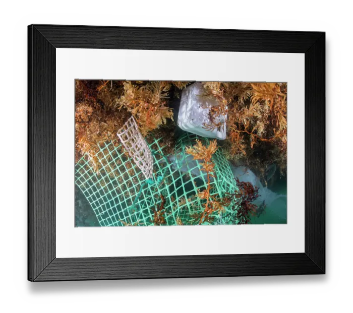 Framed Print : RF - Various types of drifting waste such as plastic bottles, bags, nets, ropes, etc Framed Print : RF - Various types of drifting waste such as plastic bottles, bags, nets, ropes, etc