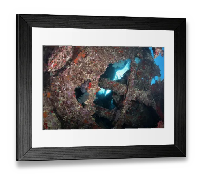 Framed Print : Wreck of the SS Dunraven, sunk in April 1876, Ras Muhammad National Park, Sinai Peninsula, Red Sea, Egypt. May, 2024 Framed Print : Wreck of the SS Dunraven, sunk in April 1876, Ras Muhammad National Park, Sinai Peninsula, Red Sea, Egypt. May, 2024