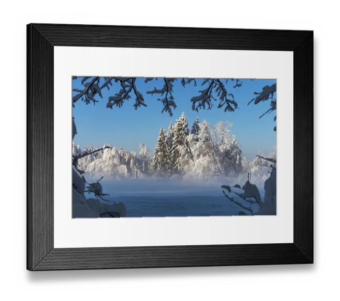 Framed Print : Winter scene with trees covered in snow in morning sun, Penzberg, Upper Bavaria, Germany. December, 2023 Framed Print : Winter scene with trees covered in snow in morning sun, Penzberg, Upper Bavaria, Germany. December, 2023
