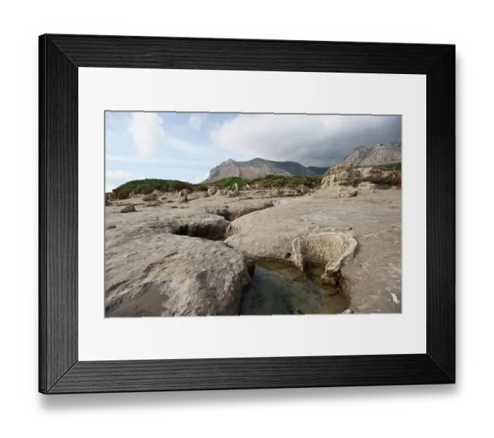 Framed Print : Petrified tree trunks exposed by coastal erosion near Agia Marina, Vatika Peninsula, Peloponnese, Greece. October, 2023 Framed Print : Petrified tree trunks exposed by coastal erosion near Agia Marina, Vatika Peninsula, Peloponnese, Greece. October, 2023