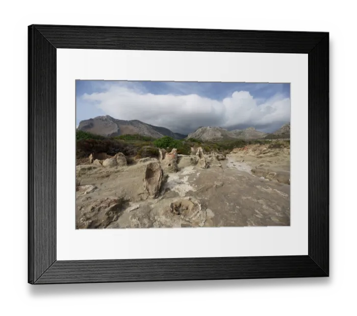 Framed Print : Petrified tree trunks exposed by coastal erosion near Agia Marina, Vatika Peninsula, Peloponnese, Greece. October, 2023 Framed Print : Petrified tree trunks exposed by coastal erosion near Agia Marina, Vatika Peninsula, Peloponnese, Greece. October, 2023