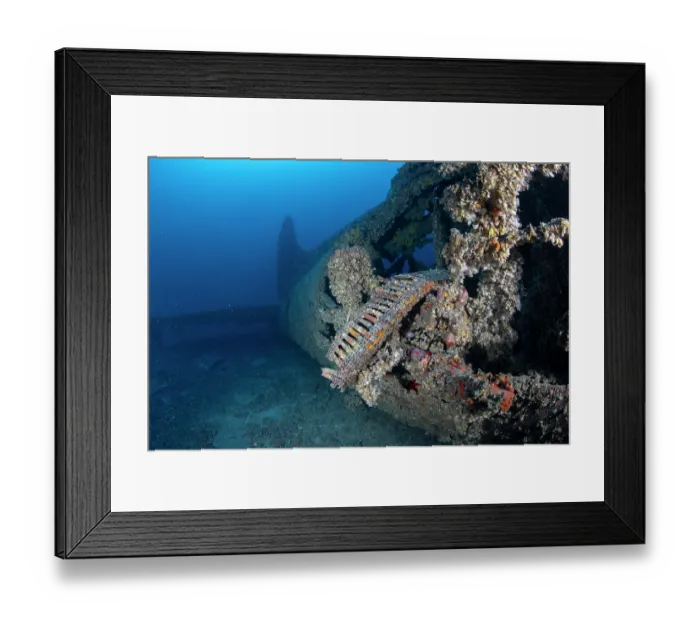Framed Print : Ammunition on the wreck of B17 Bomber Flying fortress, sunk on 6 November 1944, 150m from the Cape of Polivalo on the southern coast of Vis, Vis Island, Croatia, Adriatic Sea Framed Print : Ammunition on the wreck of B17 Bomber Flying fortress, sunk on 6 November 1944, 150m from the Cape of Polivalo on the southern coast of Vis, Vis Island, Croatia, Adriatic Sea