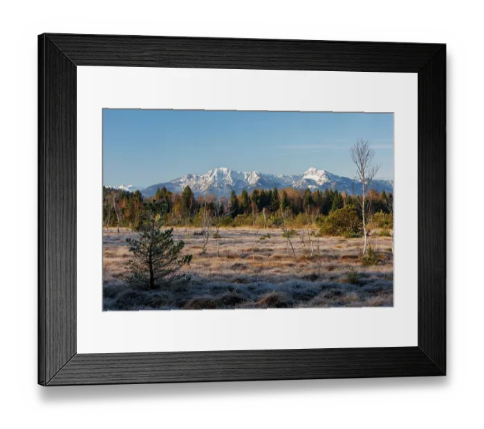 Framed Print : Moorland and forest with Herzogstand and Heimgarten mountains in background, Upper Bavaria, Germany, April, 2023 Framed Print : Moorland and forest with Herzogstand and Heimgarten mountains in background, Upper Bavaria, Germany, April, 2023