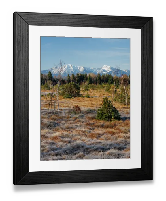 Framed Print : Moorland and forest with Herzogstand and Heimgarten mountains in background, Upper Bavaria, Germany, April, 2023 Framed Print : Moorland and forest with Herzogstand and Heimgarten mountains in background, Upper Bavaria, Germany, April, 2023