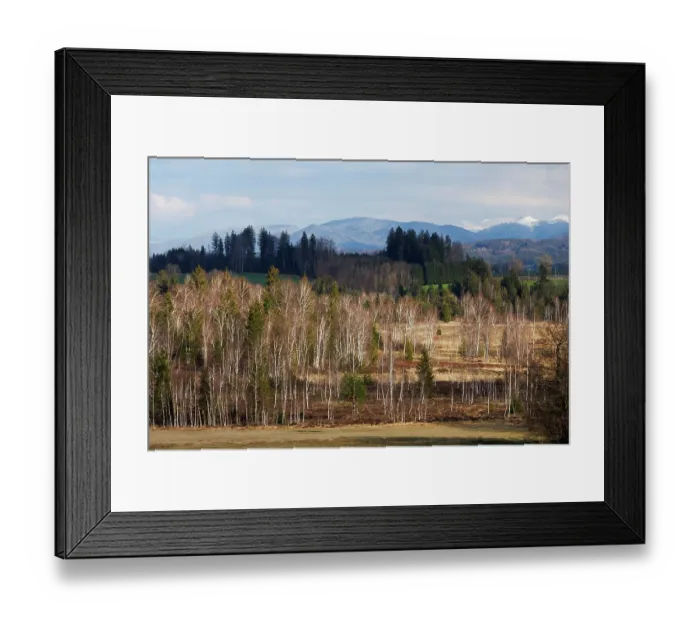 Framed Print : Ellbach moor with forest and mountains in background, Upper Bavaria, Germany. April, 2023 Framed Print : Ellbach moor with forest and mountains in background, Upper Bavaria, Germany. April, 2023