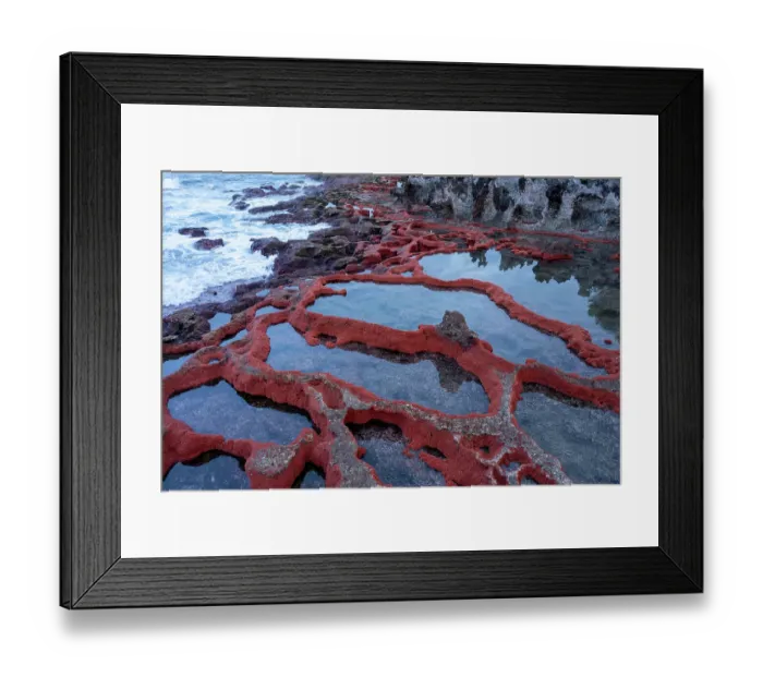 Framed Print : Aerial view of Christmas Island red crab (Gecarcoidea natalis) hatchlings piling up on the shores of Christmas Island, Indian Ocean Framed Print : Aerial view of Christmas Island red crab (Gecarcoidea natalis) hatchlings piling up on the shores of Christmas Island, Indian Ocean
