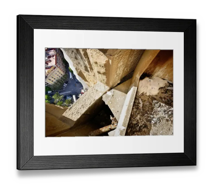 Framed Print : Three Peregrine falcon (Falco peregrinus) chicks in nest box high up on a tower, Sagrada Familia Basilica, Barcelona, Catalonia, Spain. April Framed Print : Three Peregrine falcon (Falco peregrinus) chicks in nest box high up on a tower, Sagrada Familia Basilica, Barcelona, Catalonia, Spain. April