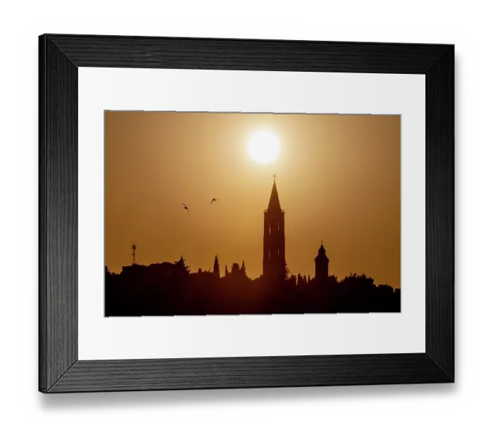 Framed Print : Common swifts (Apus apus) in flight over the city at dusk, Jerusalem, Israel Framed Print : Common swifts (Apus apus) in flight over the city at dusk, Jerusalem, Israel