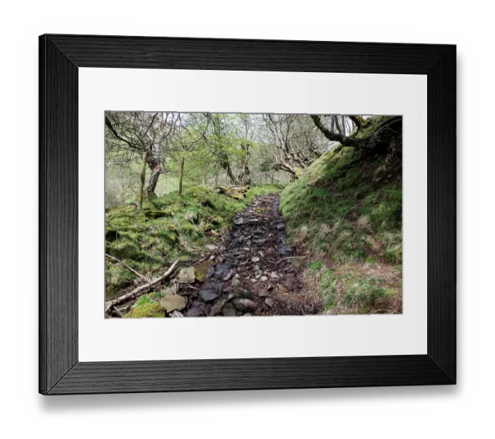 Framed Print : Ancient trackway turned into a stream due to the high water table, Hatterall Hill, Black Mountains, Brecon Beacons / Bannau Brycheiniog National Park, Wales, UK. April, 2024 Framed Print : Ancient trackway turned into a stream due to the high water table, Hatterall Hill, Black Mountains, Brecon Beacons / Bannau Brycheiniog National Park, Wales, UK. April, 2024