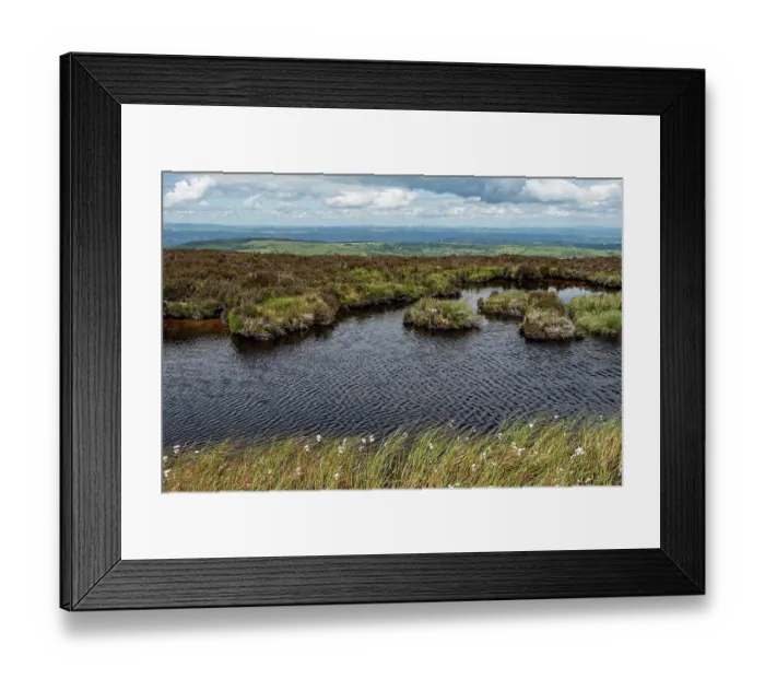 Framed Print : Upland dystrophic pond on the edge of the Black Mountains with Commom cotton-grass (Eriophorum angustifolium), looking east towards Cefn Hill, Herefordshire, England, UK Framed Print : Upland dystrophic pond on the edge of the Black Mountains with Commom cotton-grass (Eriophorum angustifolium), looking east towards Cefn Hill, Herefordshire, England, UK