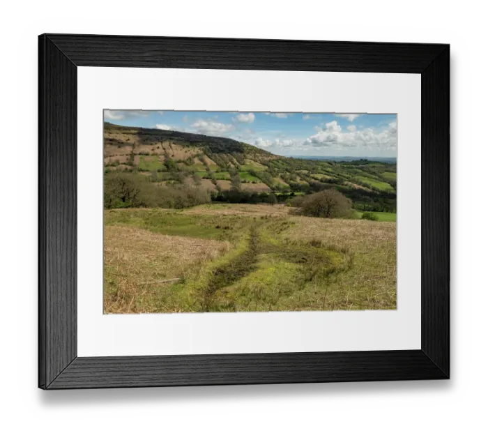 Framed Print : Spring on the Black Mountains with Sphagnum moss looking across the Olchon Valley to Black Hill  /  the Cat's Back, Herefordshire, England, UK. May, 2024