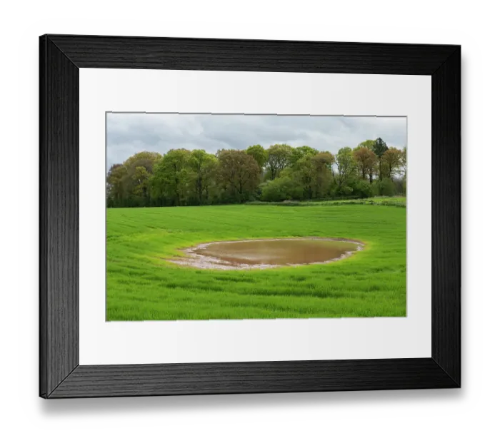 Framed Print : Ploughed over kettle hole pond, 12 000 years old, full again after prolonged winter rain, wheat field Tyberton Parish, Herefordshire, England, UK. May, 2024 Framed Print : Ploughed over kettle hole pond, 12 000 years old, full again after prolonged winter rain, wheat field Tyberton Parish, Herefordshire, England, UK. May, 2024