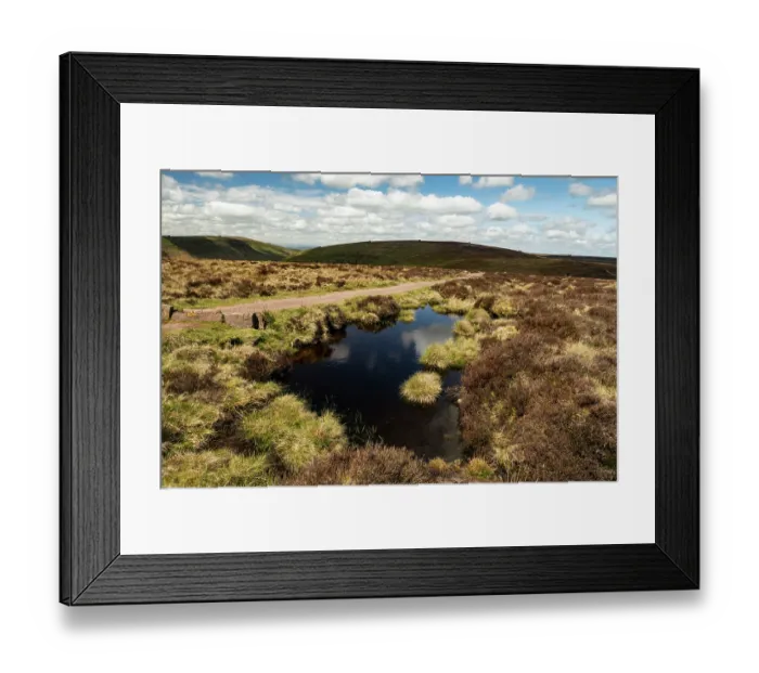 Framed Print : Dystrophic pond stained dark brown next to Offa's Dyke Path boundary between Wales and England, Black Mountains, Breconshire and Herefordshire, UK. May, 2024 Framed Print : Dystrophic pond stained dark brown next to Offa's Dyke Path boundary between Wales and England, Black Mountains, Breconshire and Herefordshire, UK. May, 2024