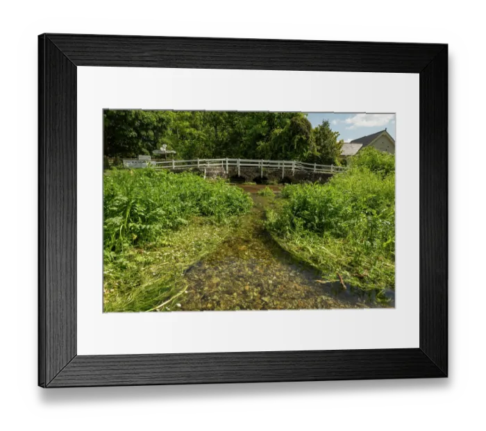 Framed Print : Fool's water-cress (Apium nodiflorum) and Stream water-crowfoot (Ranunculus penicillatus pseudofluitans) growing in chalk stream with River Tarrant packhorse bridge in background