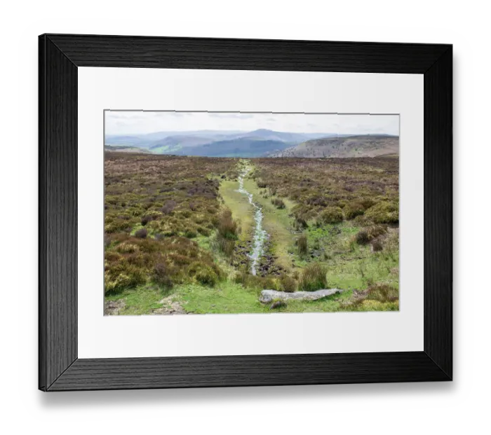Framed Print : Ancient spring on Hatterall Hill flowing through heather moorland, the Sugar Loaf in the background, Black Mountains, Brecon Breacons  /  Bannau Brycheiniog National Park, Wales