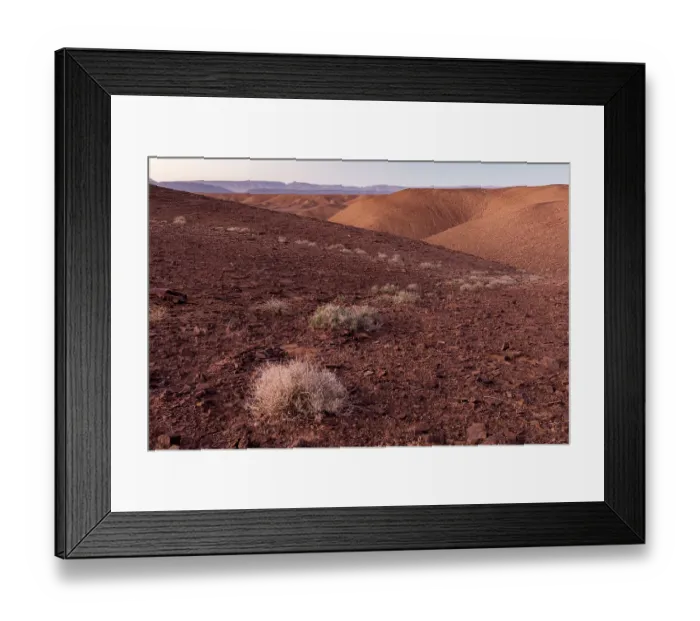 Framed Print : Askaf (Nucularia perrinii) growing on the northern slopes of Jebel Ouarkziz mountains, Sahara desert, Southern Morocco. November Framed Print : Askaf (Nucularia perrinii) growing on the northern slopes of Jebel Ouarkziz mountains, Sahara desert, Southern Morocco. November