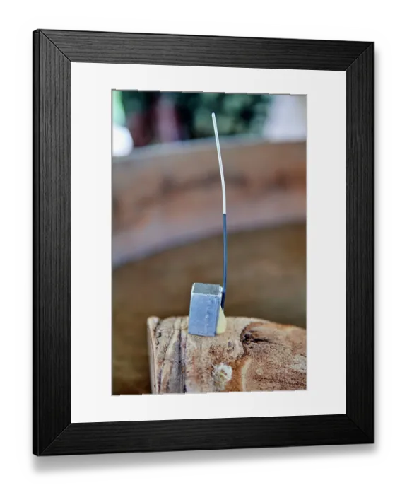 Framed Print : Radio transmitter for tracking Black and White rhinoceros, Akagera National Park, Rwanda. April, 2025 Framed Print : Radio transmitter for tracking Black and White rhinoceros, Akagera National Park, Rwanda. April, 2025