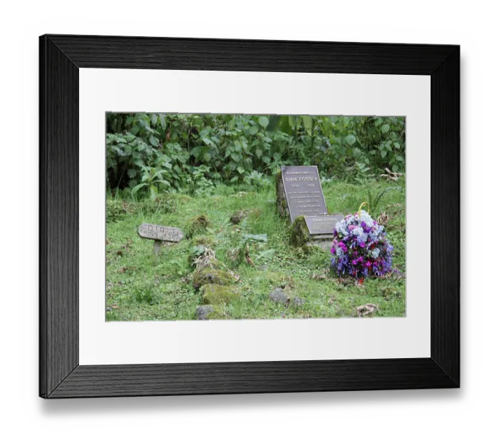 Framed Print : Graves of Mountain gorillas and Dr. Diane Fosse at former Karisoke Field Station, Volcanoes National Park, Rwanda. September, 2012 Framed Print : Graves of Mountain gorillas and Dr. Diane Fosse at former Karisoke Field Station, Volcanoes National Park, Rwanda. September, 2012