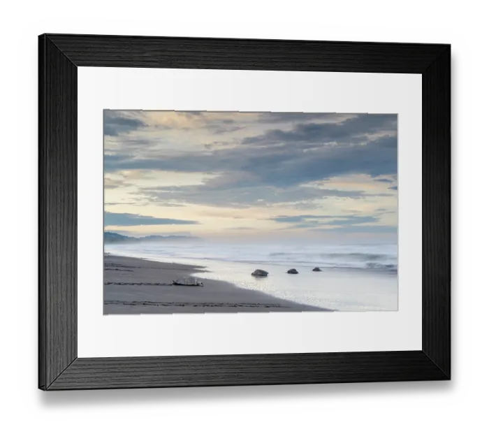 Framed Print : Olive ridley sea turtles (Lepidochelys olivacea) females, coming to shore to lay eggs and returning to the ocean after nesting, Ostional, Guanacaste, Costa Rica Framed Print : Olive ridley sea turtles (Lepidochelys olivacea) females, coming to shore to lay eggs and returning to the ocean after nesting, Ostional, Guanacaste, Costa Rica