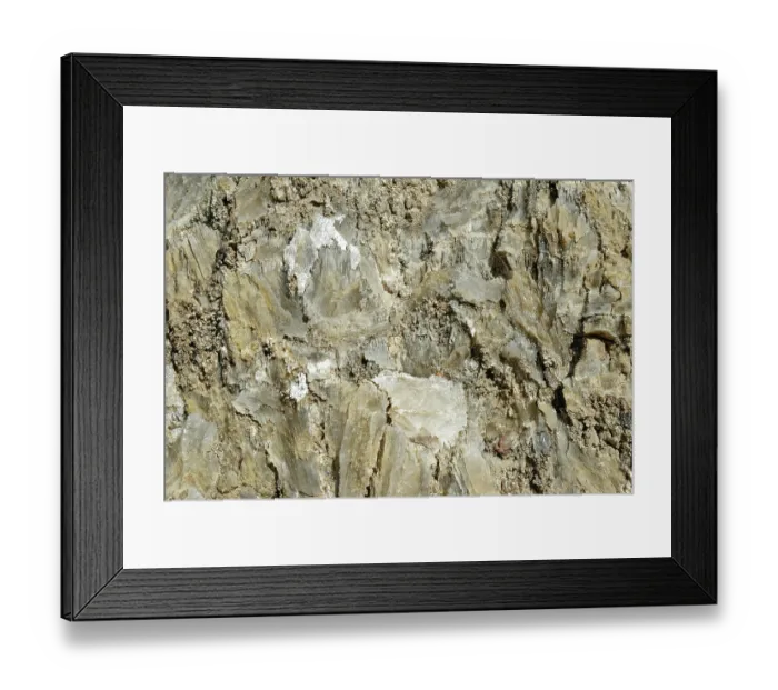 Framed Print : Gypsum / Selenite crystals visible in rock face, Karst en Yesos de Sorbas Natural Area, Almeria, Spain. March, 2024 Framed Print : Gypsum / Selenite crystals visible in rock face, Karst en Yesos de Sorbas Natural Area, Almeria, Spain. March, 2024