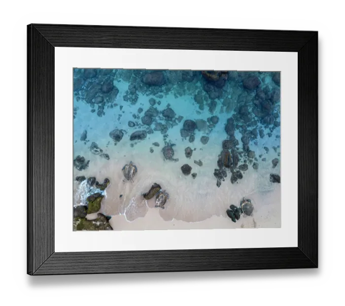 Framed Print : Aerial view of group of Green sea turtles (Chelonia mydas) entering the ocean on Hookipa Beach, Maui, Hawaii, Pacific Ocean. Endangered
