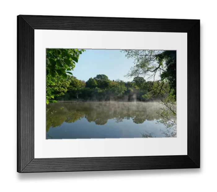 Framed Print : Morning mist rising from Cannop Ponds in early autumn, Forest of Dean, Gloucestershire, England, UK. October, 2024 Framed Print : Morning mist rising from Cannop Ponds in early autumn, Forest of Dean, Gloucestershire, England, UK. October, 2024