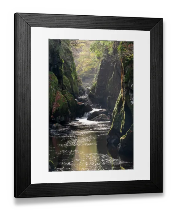 Framed Print : Fairy Glen on the River Conway near Betws-Y-Coed with late autumn colour, Eryri National Park / Snowdonia, North Wales, UK. November, 2024 Framed Print : Fairy Glen on the River Conway near Betws-Y-Coed with late autumn colour, Eryri National Park / Snowdonia, North Wales, UK. November, 2024