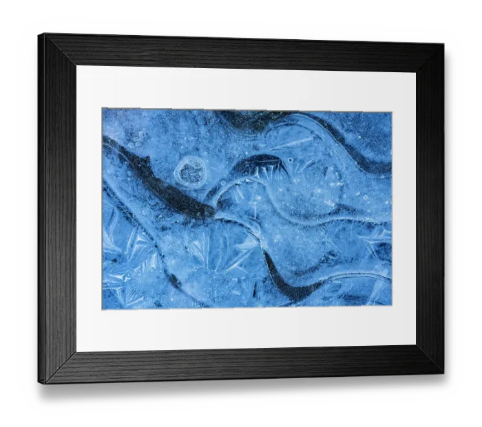 Framed Print : Ice patterns in frozen puddle, Frogham, New Forest, Hampshire, England, UK. November Framed Print : Ice patterns in frozen puddle, Frogham, New Forest, Hampshire, England, UK. November