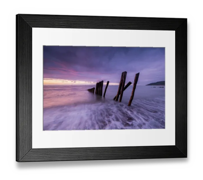 Framed Print : Groynes backlit at dusk, Porlock Weir, Somerset, England, UK. June, 2024 Framed Print : Groynes backlit at dusk, Porlock Weir, Somerset, England, UK. June, 2024