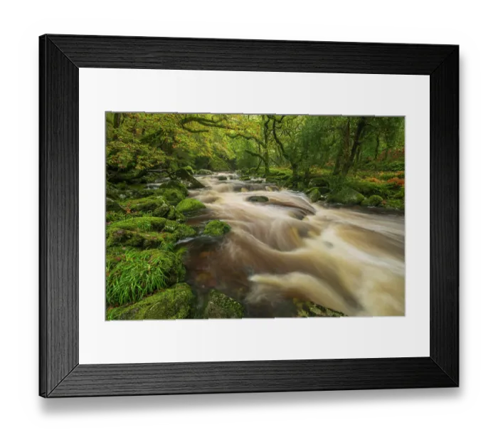 Framed Print : River Plym flowing through woodland, Shaugh Prior, Dartmoor National Park, Devon, England, UK. October, 2024 Framed Print : River Plym flowing through woodland, Shaugh Prior, Dartmoor National Park, Devon, England, UK. October, 2024