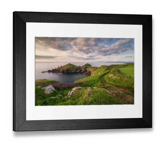 Framed Print : The Rumps, Pentire Head in late evening light with the South West Coast Path, Polzeath, Cornwall, England, UK. May, 2024 Framed Print : The Rumps, Pentire Head in late evening light with the South West Coast Path, Polzeath, Cornwall, England, UK. May, 2024