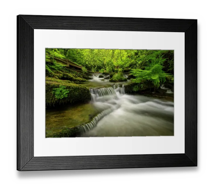 Framed Print : Spring woodland, fresh foliage and cascades, St Nectan's Glen, North Cornwall, England, UK. May, 2024 Framed Print : Spring woodland, fresh foliage and cascades, St Nectan's Glen, North Cornwall, England, UK. May, 2024