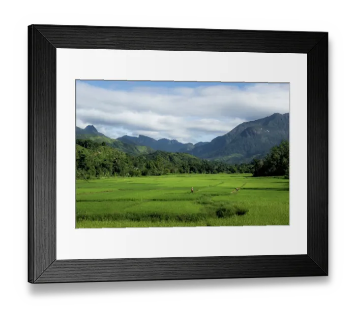Framed Print : Rice fields at the foothills of Marojejy National Park, Madagascar. April, 2018 Framed Print : Rice fields at the foothills of Marojejy National Park, Madagascar. April, 2018