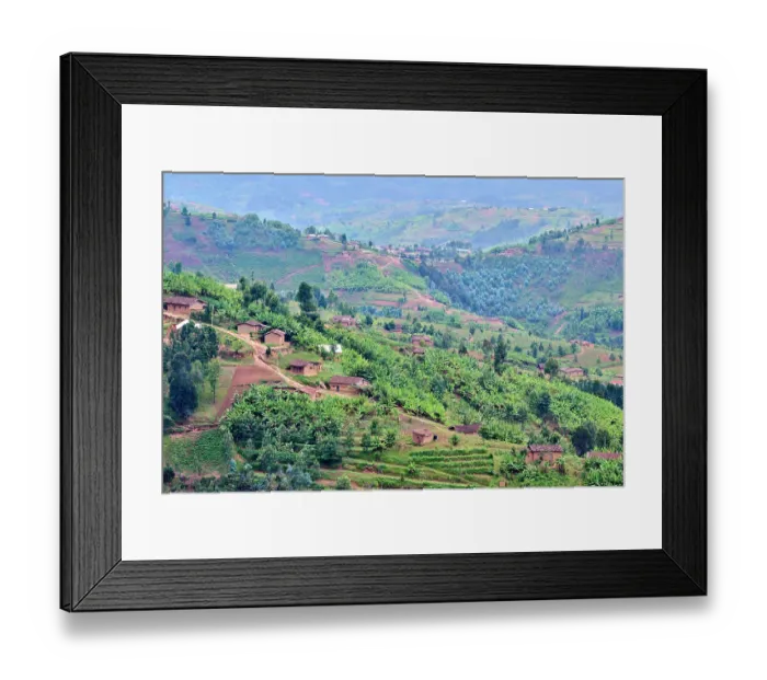 Framed Print : View over farmland and traditional houses, fields and tea plantation, Gishwati district, Rwanda. March, 2025 Framed Print : View over farmland and traditional houses, fields and tea plantation, Gishwati district, Rwanda. March, 2025