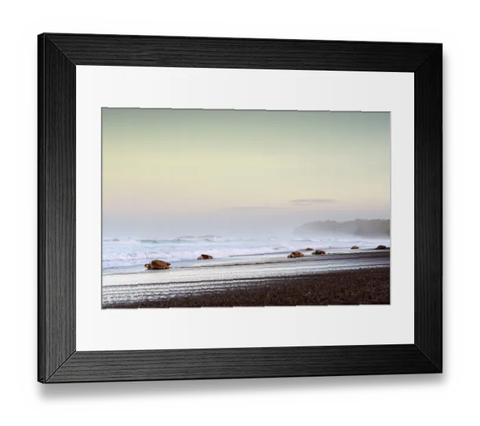 Framed Print : Group of Olive ridley sea turtle (Lepidochelys olivacea) females returning to the ocean after laying eggs on the beach, Playa Ostional, Nicoya peninsula, Pacific coast, Costa Rica Framed Print : Group of Olive ridley sea turtle (Lepidochelys olivacea) females returning to the ocean after laying eggs on the beach, Playa Ostional, Nicoya peninsula, Pacific coast, Costa Rica