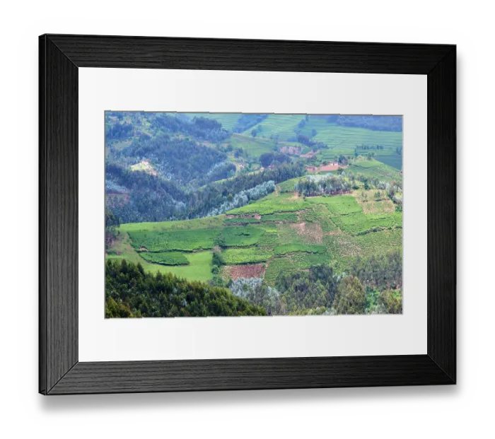 Framed Print : View over farmland and traditional houses, fields and tea plantation, Gishwati district, Rwanda. March, 2025 Framed Print : View over farmland and traditional houses, fields and tea plantation, Gishwati district, Rwanda. March, 2025