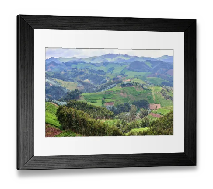 Framed Print : View over farmland and traditional houses, fields and tea plantation, Gishwati district, Rwanda. March, 2025