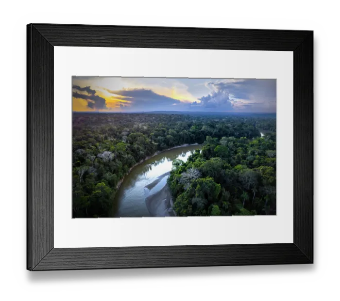 Framed Print : Las Piedras river at sunset, Madre de dios, Amazon rainforest, Peru. June, 2024 Framed Print : Las Piedras river at sunset, Madre de dios, Amazon rainforest, Peru. June, 2024