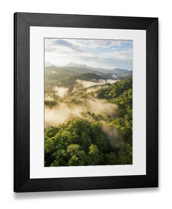 Framed Print : View across the tree canopy of pristine tropical rainforest, New Britain, Papua New Guinea. September, 2016