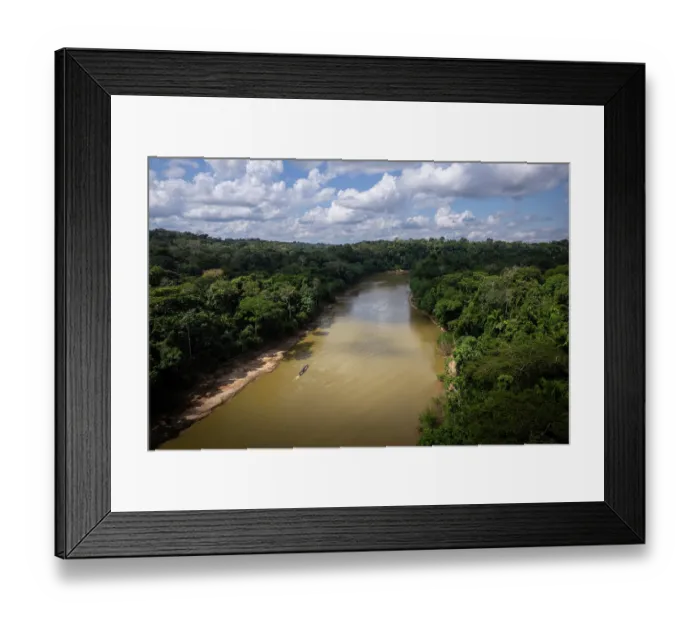 Framed Print : Las Piedras river, Madre de dios, Amazon rainforest, Peru. June, 2024 Framed Print : Las Piedras river, Madre de dios, Amazon rainforest, Peru. June, 2024