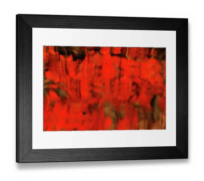 Framed Print : Autumnal trees reflecting on water, Maryland, USA. October, 2024