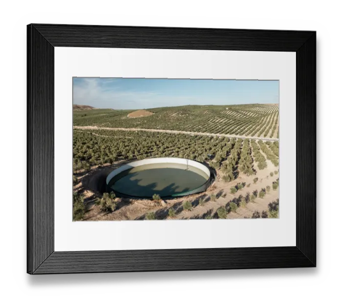 Framed Print : Aerial view of large water tank within intensive olive tree plantations, Jaen district, southern Spain. October, 2022 Framed Print : Aerial view of large water tank within intensive olive tree plantations, Jaen district, southern Spain. October, 2022