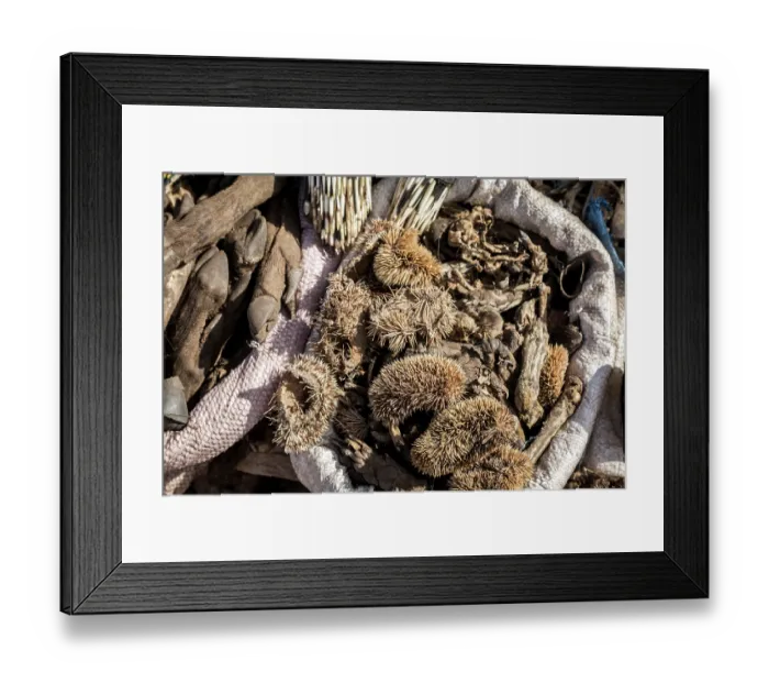 Framed Print : Wildlife remains (including hedgehogs) for sale for traditional beliefs in Bamako market, Mali. October, 2017 Framed Print : Wildlife remains (including hedgehogs) for sale for traditional beliefs in Bamako market, Mali. October, 2017