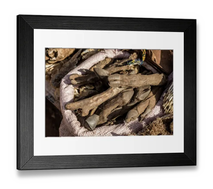 Framed Print : Wildlife remains for sale for traditional beliefs in Bamako market, Mali. October, 2017 Framed Print : Wildlife remains for sale for traditional beliefs in Bamako market, Mali. October, 2017